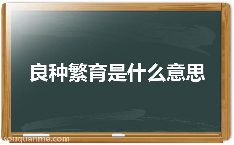 良种繁育是什么意思 良种繁育的读音拼音 良种繁育的词语解释